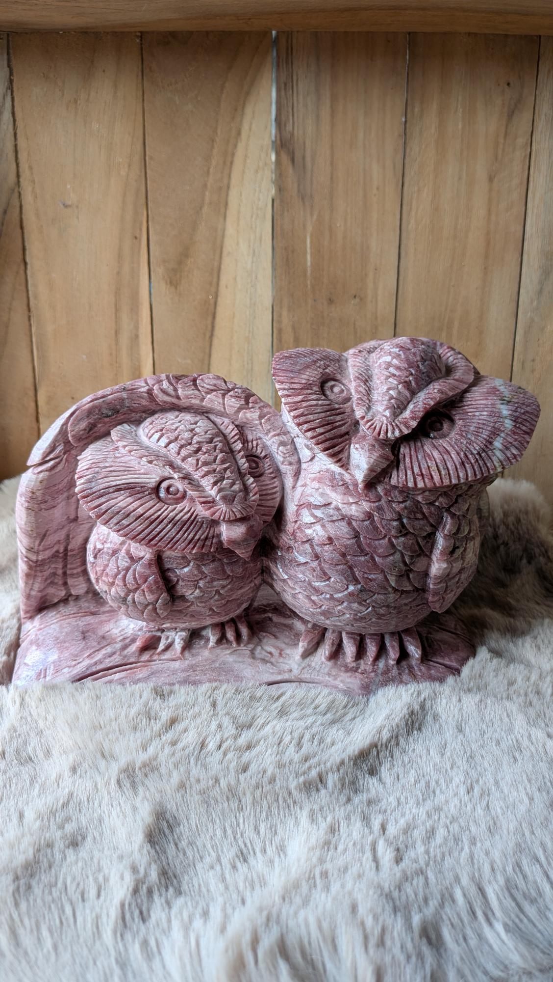 Vooraanzicht van een massief uilenduo gesneden uit jaspis van bijna 3,8 kilo op een houten ondergrond.