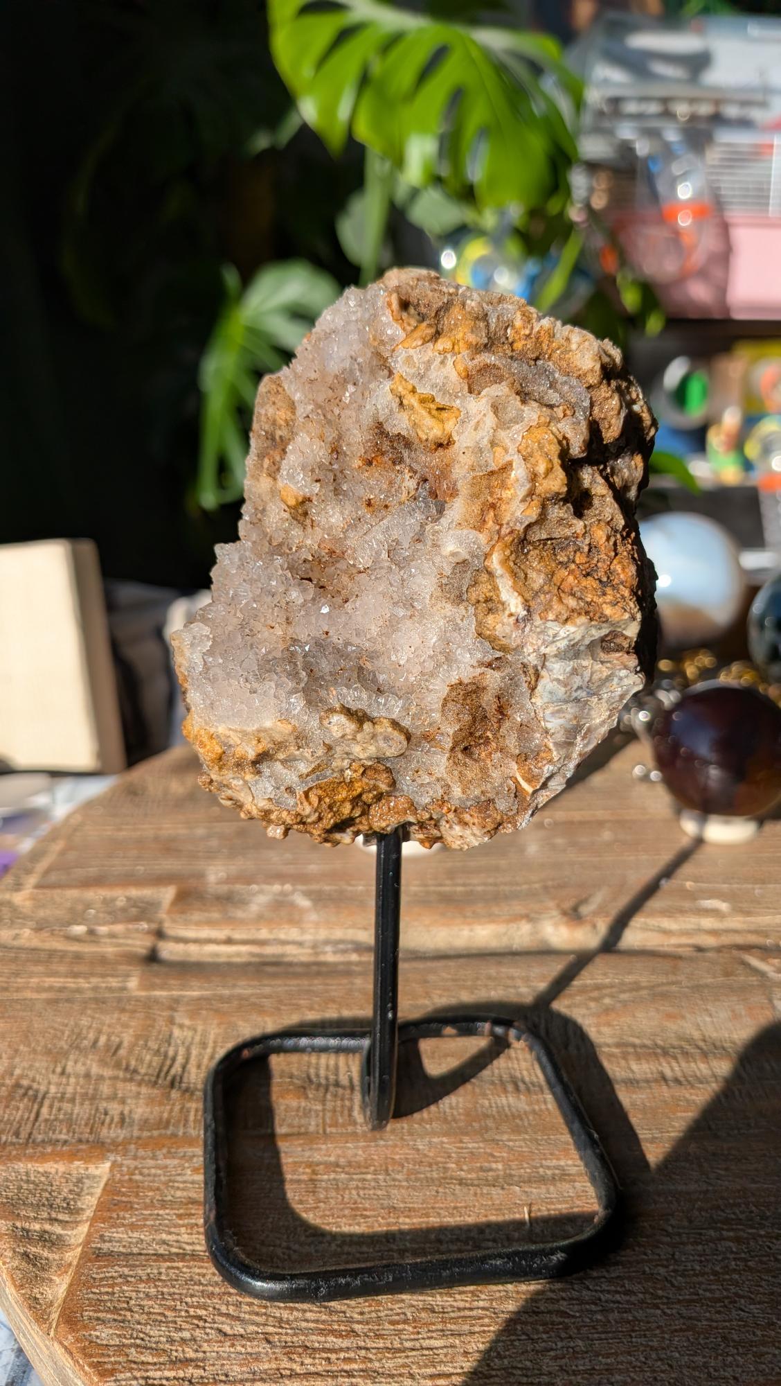 Voorzijde van een groot stuk versteend hout op standaard, rijk bezet met glinsterende kristalpunten.