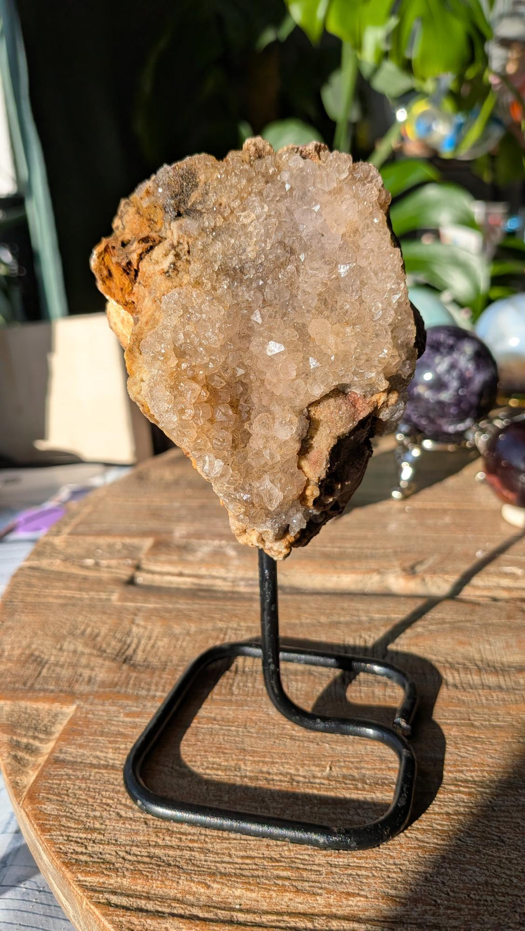 Voorzijde van versteend hout op standaard, tonend een prachtige kristalholte met fonkelende witte kwartspunten.