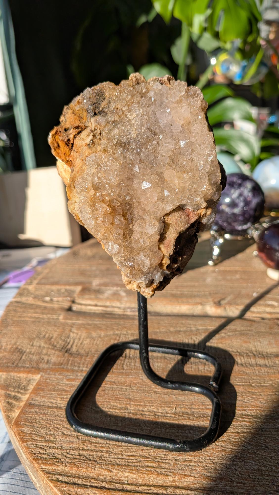 Voorzijde van versteend hout op standaard, tonend een prachtige kristalholte met fonkelende witte kwartspunten.