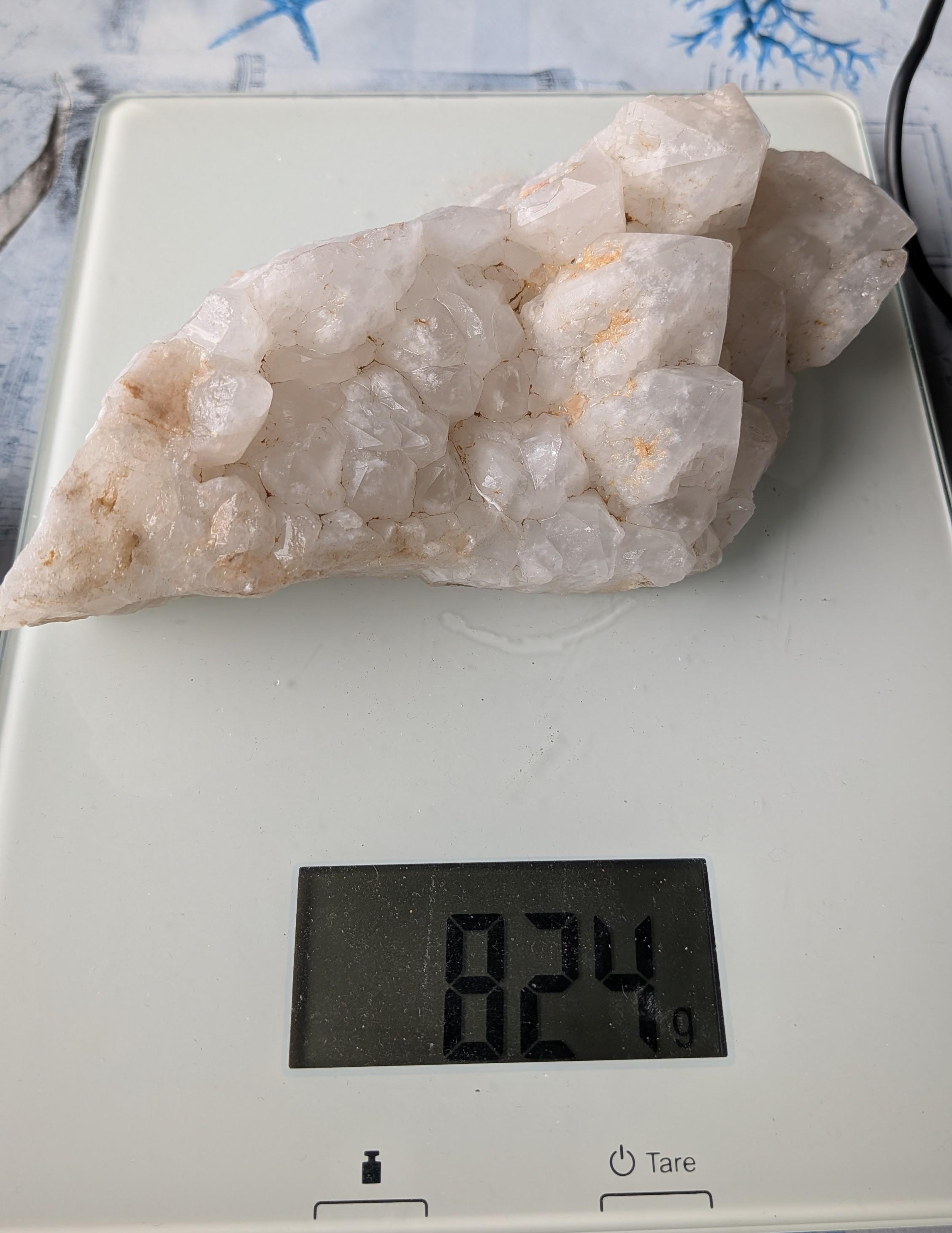 Een substantieel, sneeuwwit Kwarts cluster van 824 gram met heldere kristalstructuren, gefotografeerd op een digitale weegschaal.