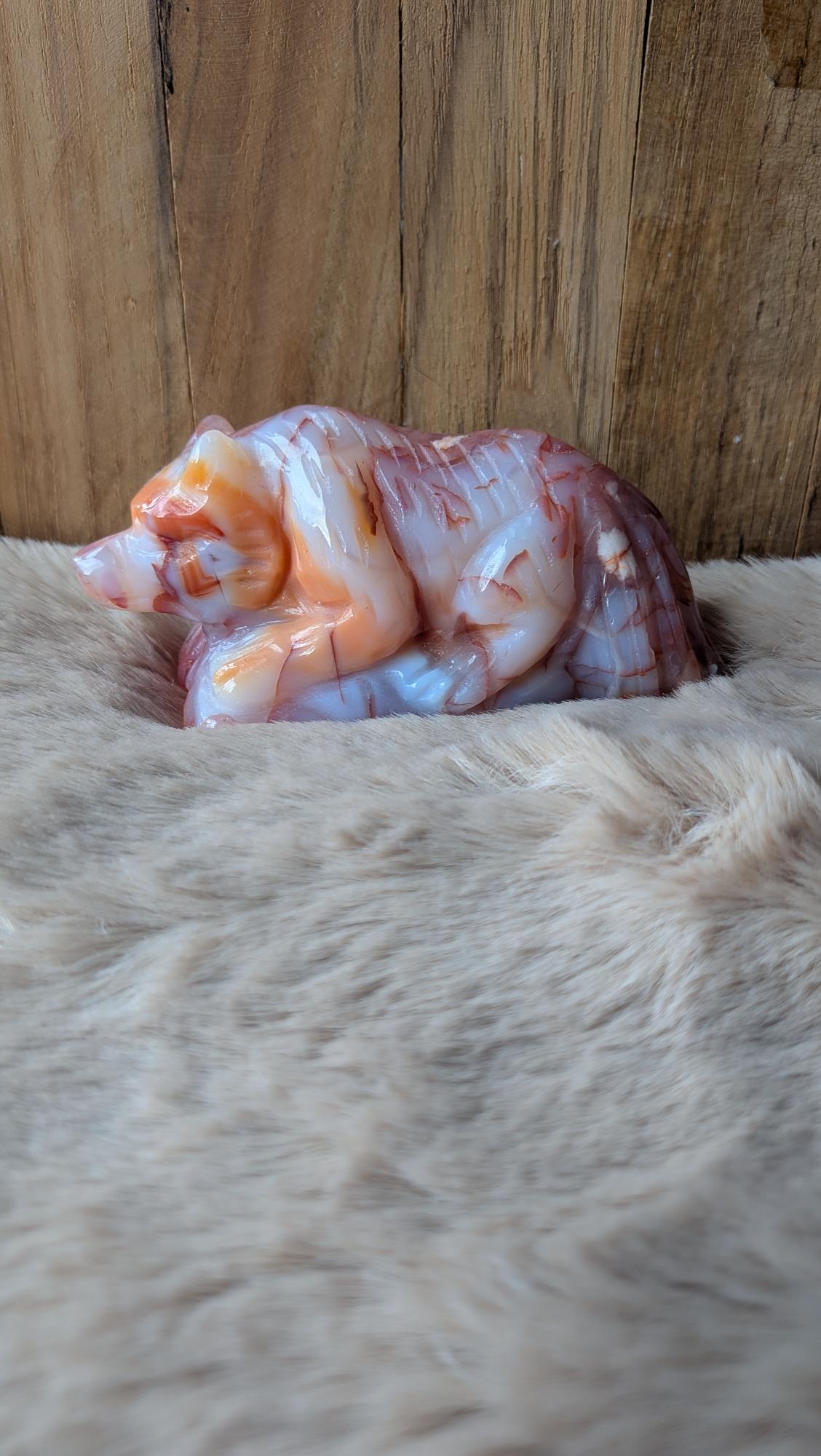 Vooraanzicht van een handgesneden bloemagaat en carneool wolf van 353 gram op een houten ondergrond.