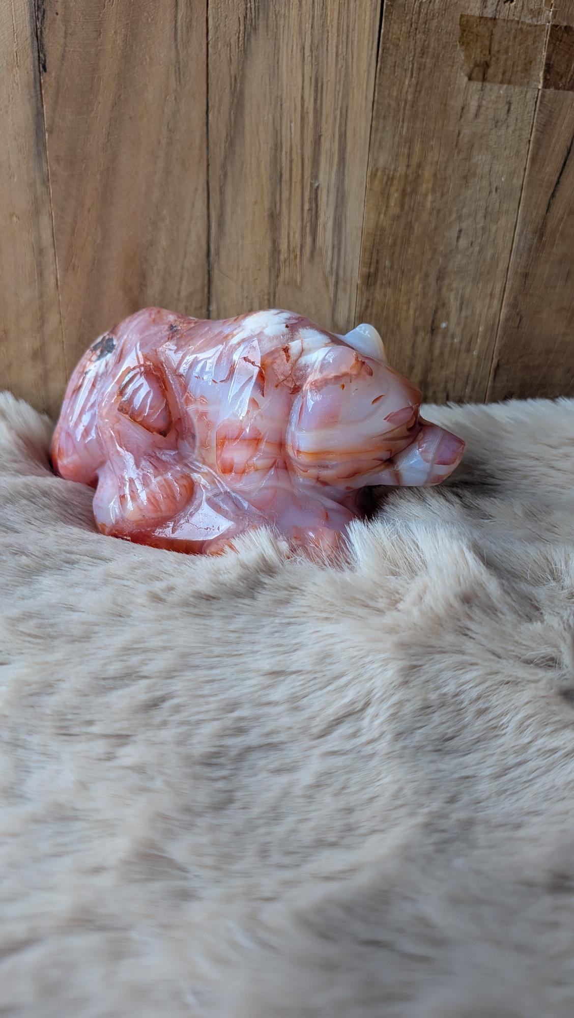 Vooraanzicht van een handgesneden bloemagaat en carneool wolf van 353 gram op een houten ondergrond.