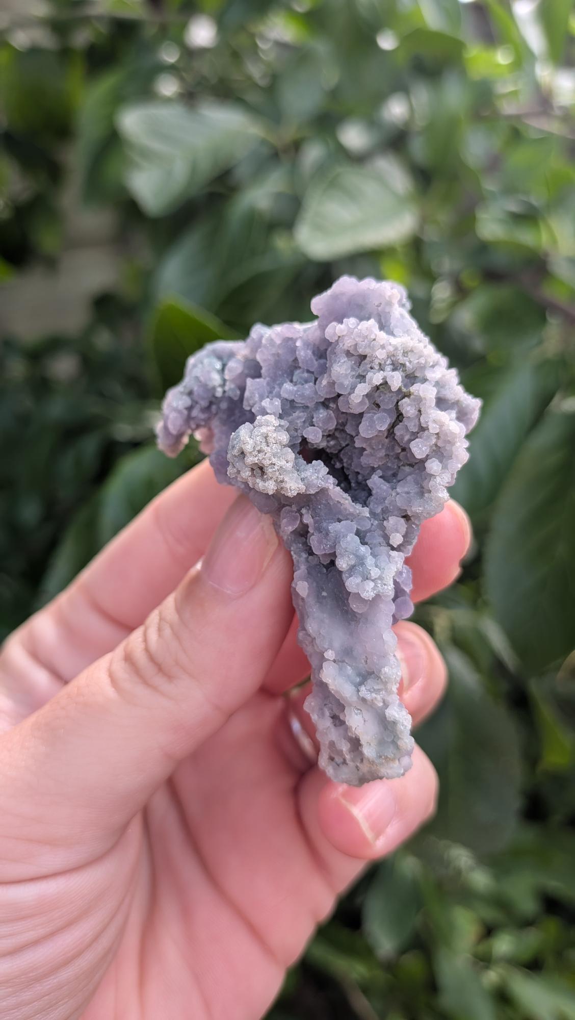 Een hand houdt een paars grape agaat cluster van 33 gram vast, met een unieke bolvormige kristalstructuur