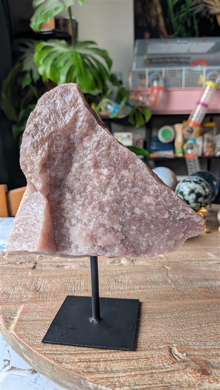 Het grootste exemplaar ruwe rozenkwarts op een zwarte metalen standaard, gewicht 1366 gram. De steen heeft een brede, asymmetrische vorm en een rijke kristalstructuur, gefotografeerd tegen een achtergrond met planten.