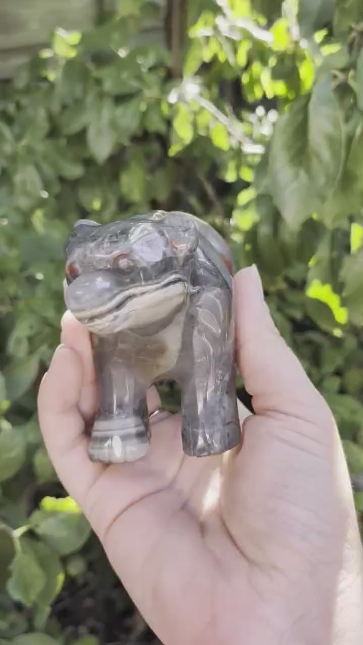 Video van Afrikaanse bloedsteen beer carving van 546 gram vanuit verschillende hoeken