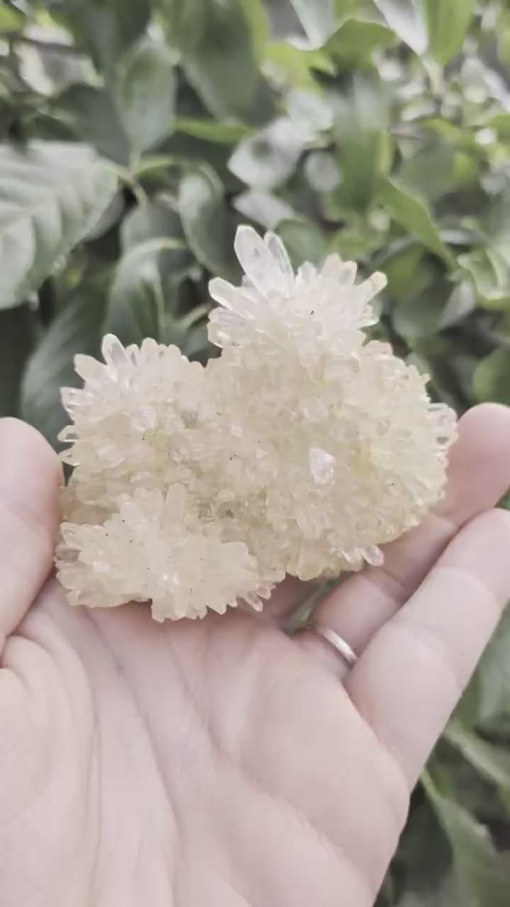 Een hand houdt een warm gekleurd Dogtooth Calciet cluster uit Indonesië van 168 gram vast, met een unieke, geometrische kristalstructuur