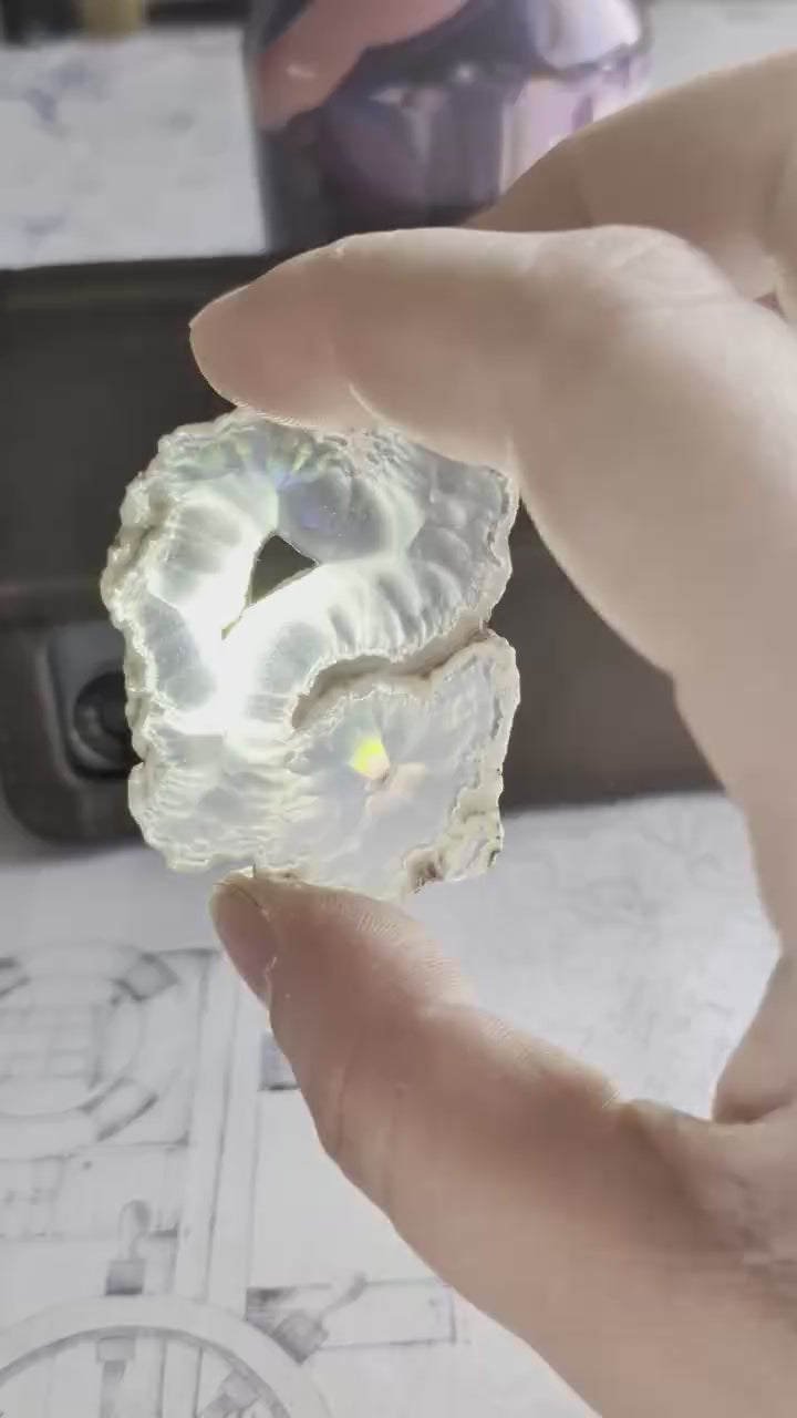 Video van een 5 cm Iris Agaat; bij beweging in het licht verschijnen er felle, vloeibaar ogende regenboogkleuren over de gehele 2mm dikke steen.