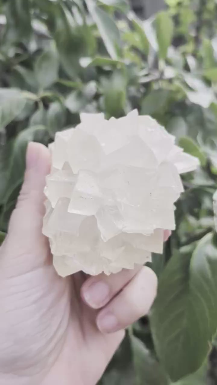 UV-Reactief Indonesisch Dogtooth Calciet – Uniek Natuurstuk (358 gram)