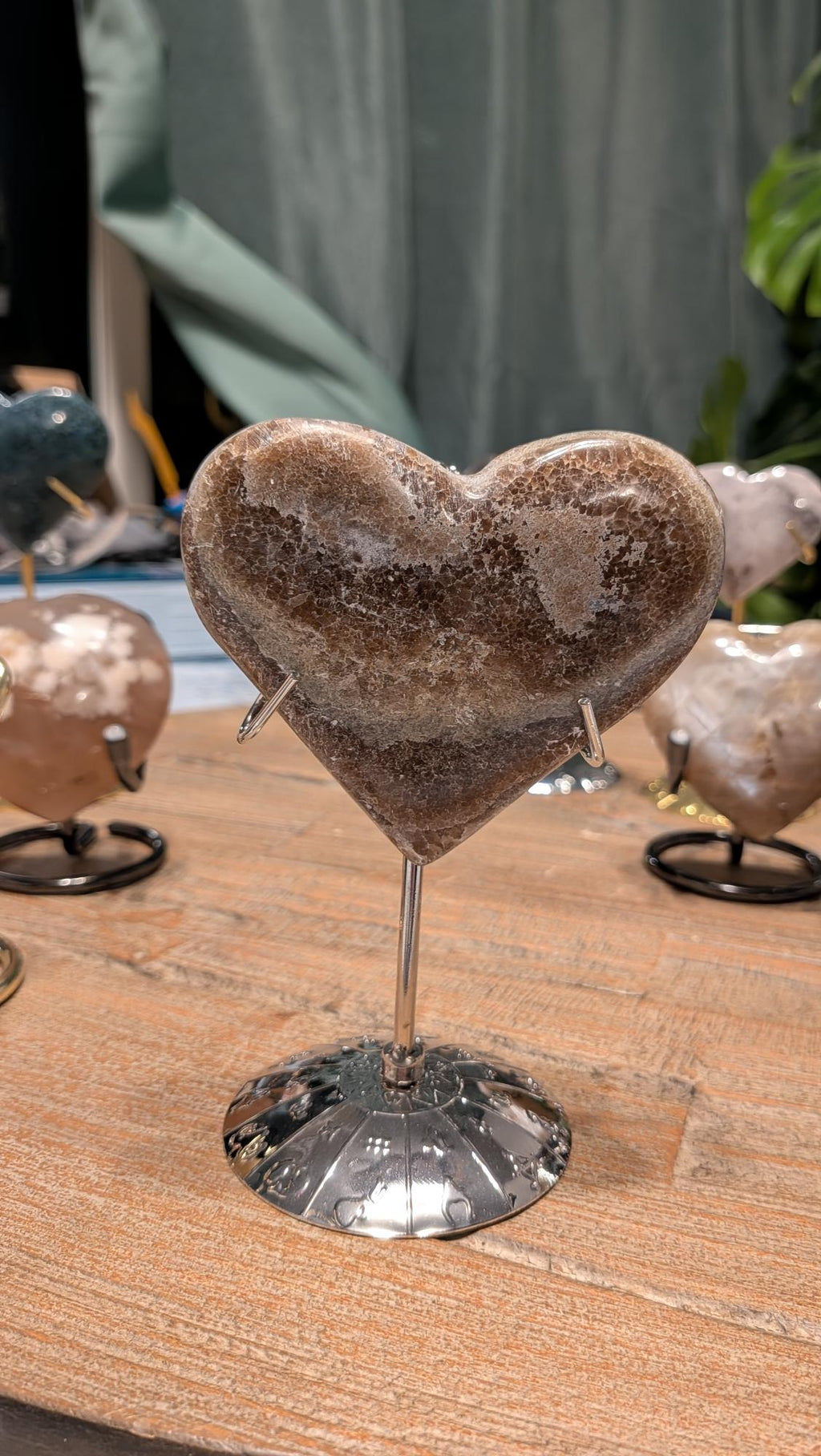 De achterzijde van hetzelfde hartvormige fossiel. Deze kant toont een fijner, gespikkeld patroon van kleine fossiele resten en lichtbruine kristalstructuren, met een glad gepolijst oppervlak dat de natuurlijke gelaagdheid van de steen laat zien.