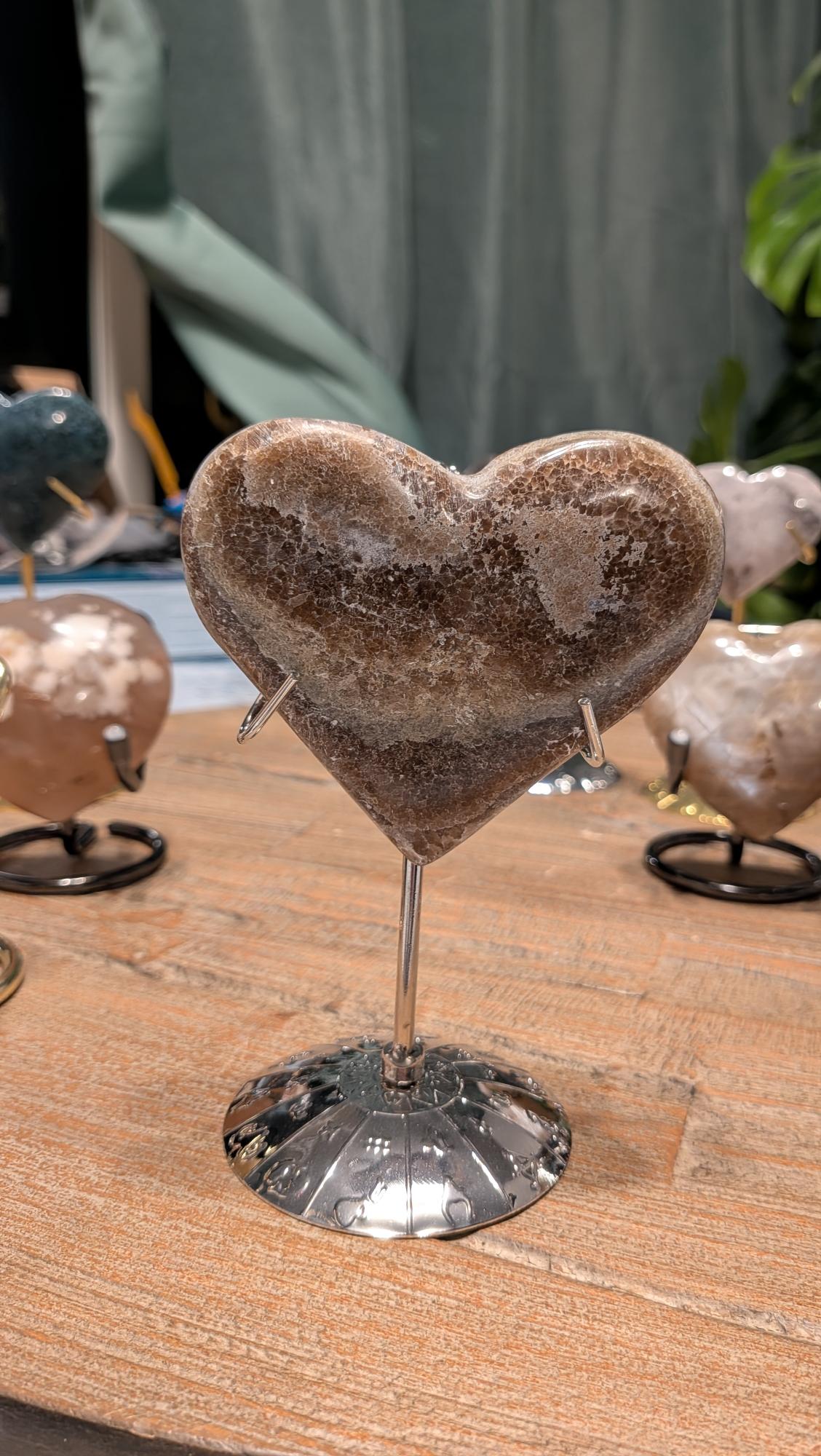 De achterzijde van hetzelfde hartvormige fossiel. Deze kant toont een fijner, gespikkeld patroon van kleine fossiele resten en lichtbruine kristalstructuren, met een glad gepolijst oppervlak dat de natuurlijke gelaagdheid van de steen laat zien.