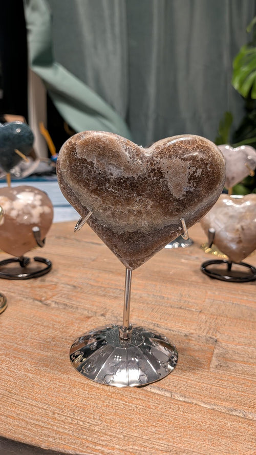 De achterzijde van hetzelfde hartvormige fossiel. Deze kant toont een fijner, gespikkeld patroon van kleine fossiele resten en lichtbruine kristalstructuren, met een glad gepolijst oppervlak dat de natuurlijke gelaagdheid van de steen laat zien.