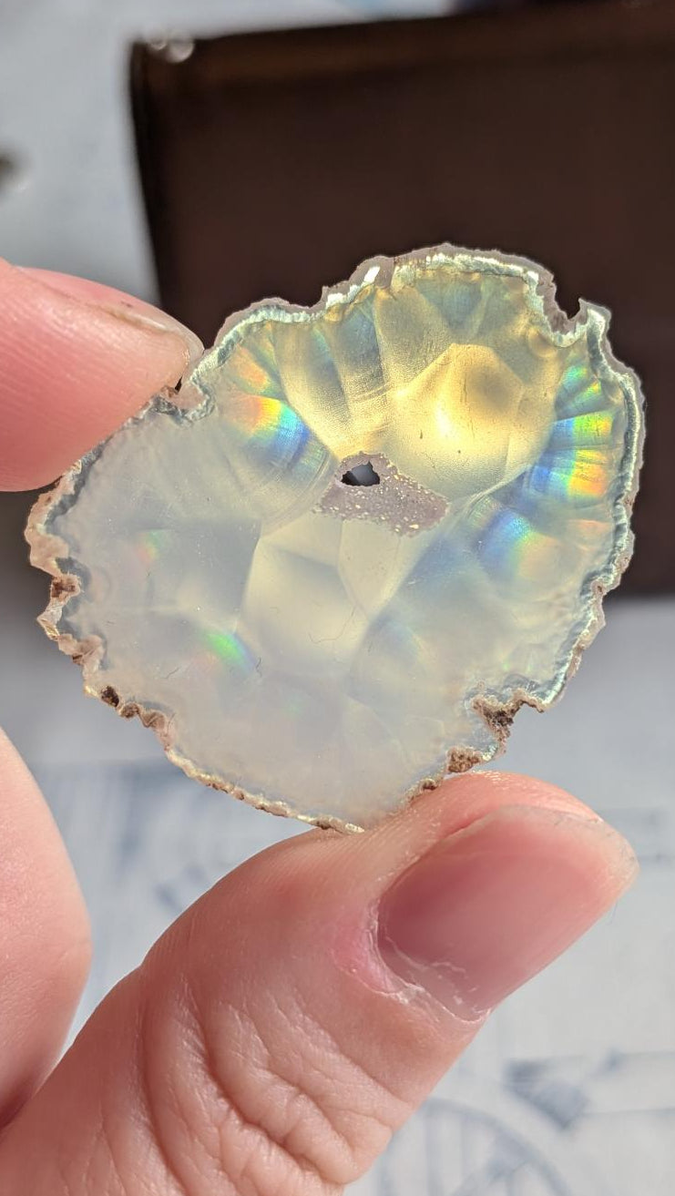 Compact plakje heldere Iris Agaat uit Java (4 cm) met een felle regenboogflits aan de bovenzijde bij tegenlicht.