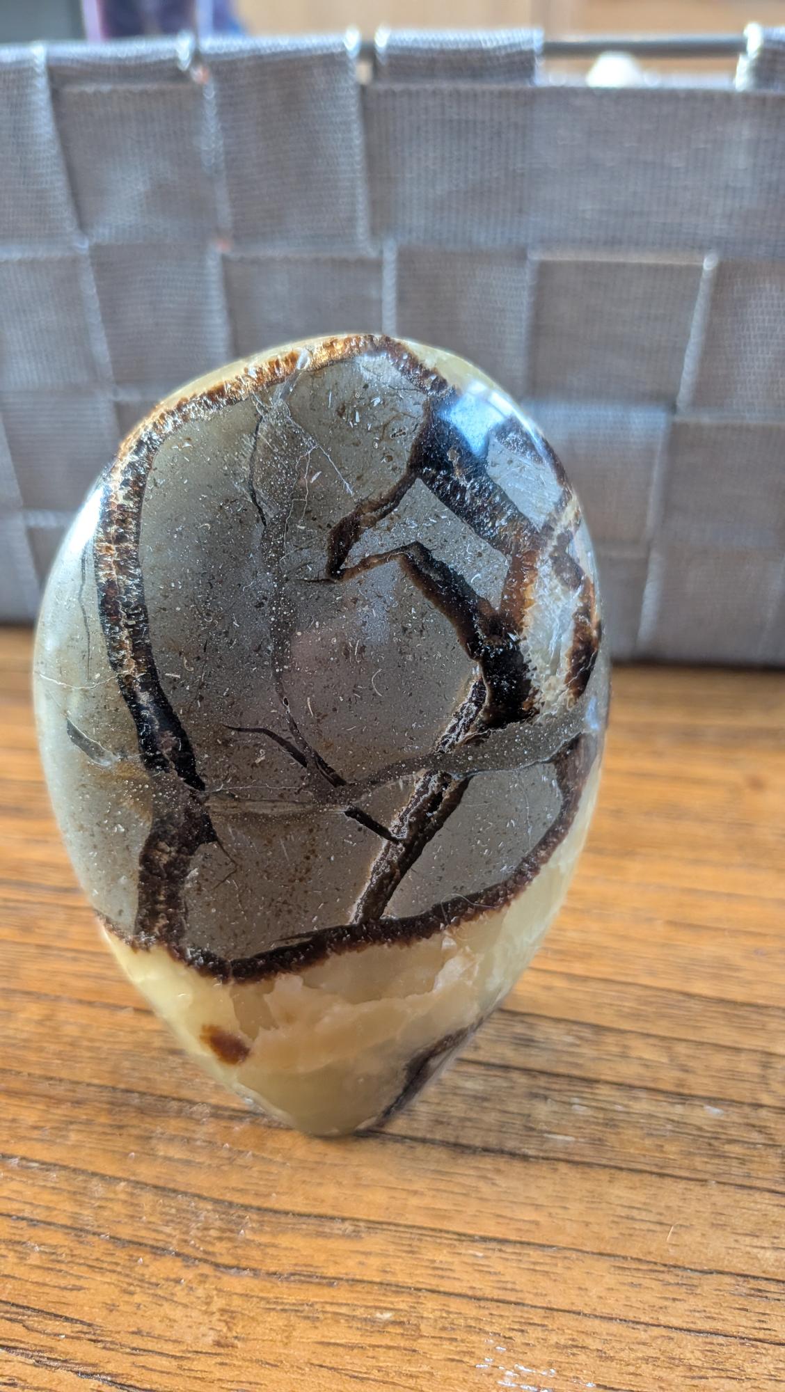 "Gepolijste vrije vorm van Septarie met karakteristieke gele calciet aders en grijze kalksteen patronen, 10 cm hoog en 288 gram."